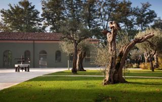 Parco del Museo Agorà Orsi Coppini (Foto: Gepri)