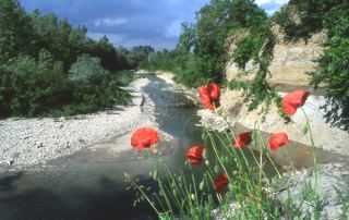 Parco dello Stirone -Scipione