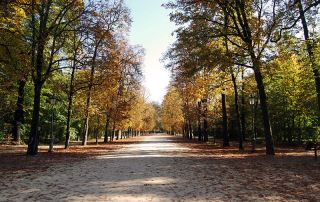 Parco Ducale, Parma