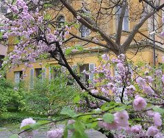 Orto botanico - Scuola in fiore