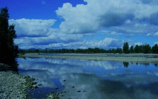 Parco fluviale del Taro