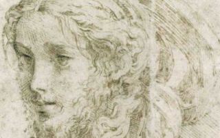 Testa di Giovane, Parmigianino