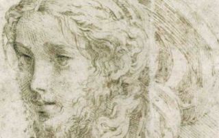 Testa di Giovane, Parmigianino