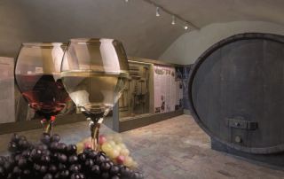 La sala delle botti del Museo del Vino, nelle cantine della Rocca 